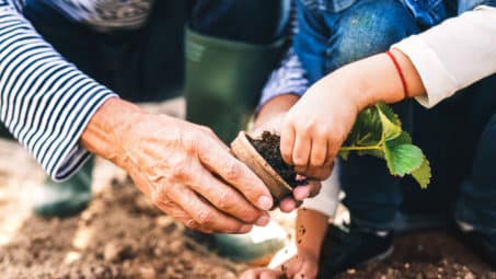 5 Fun Eco-Friendly Activities