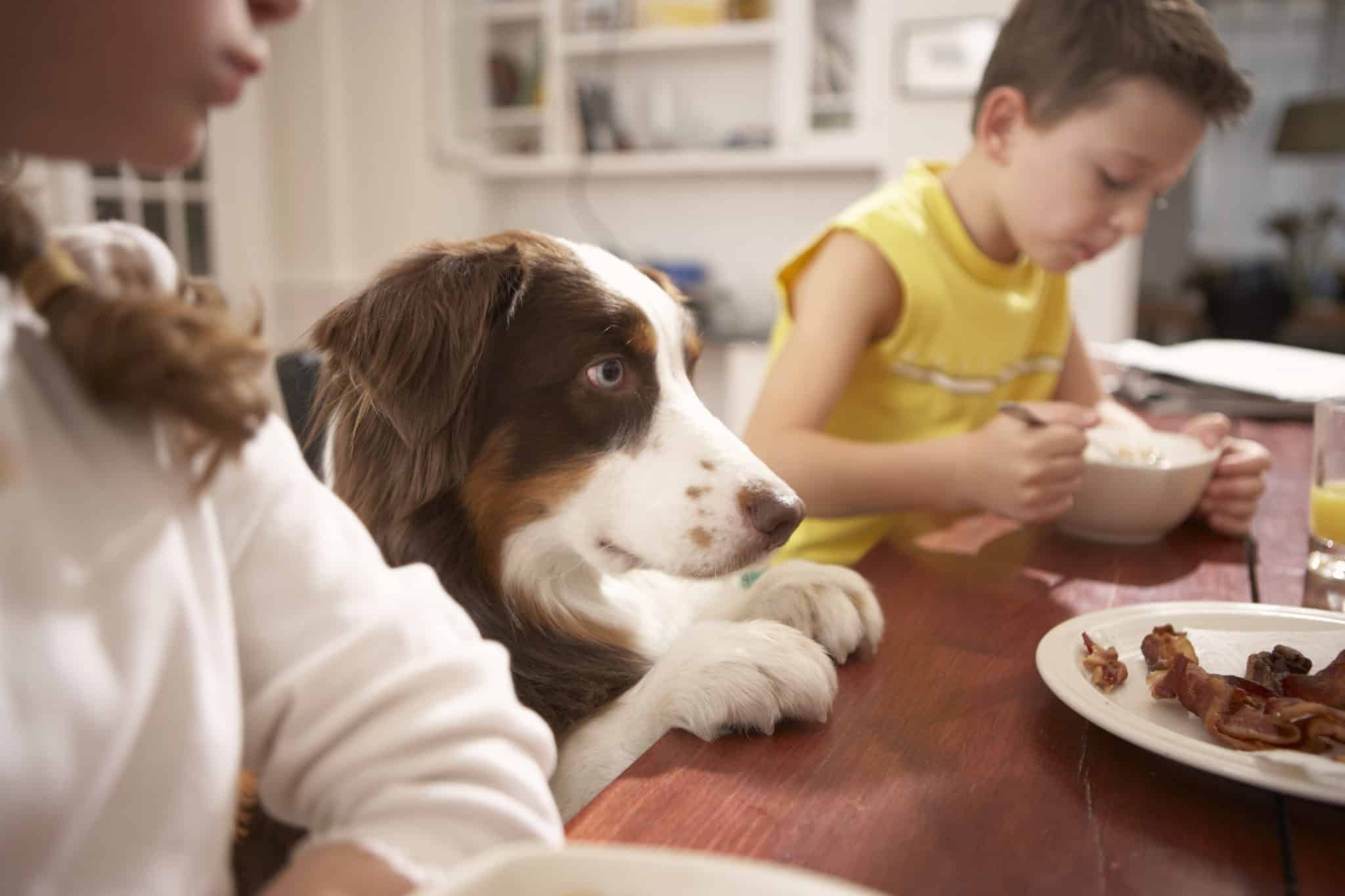 How to Care For Your Kitchen Table