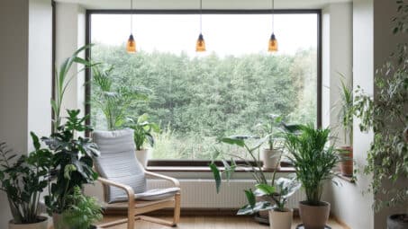 Eco-Friendly Decor Buying Guide
